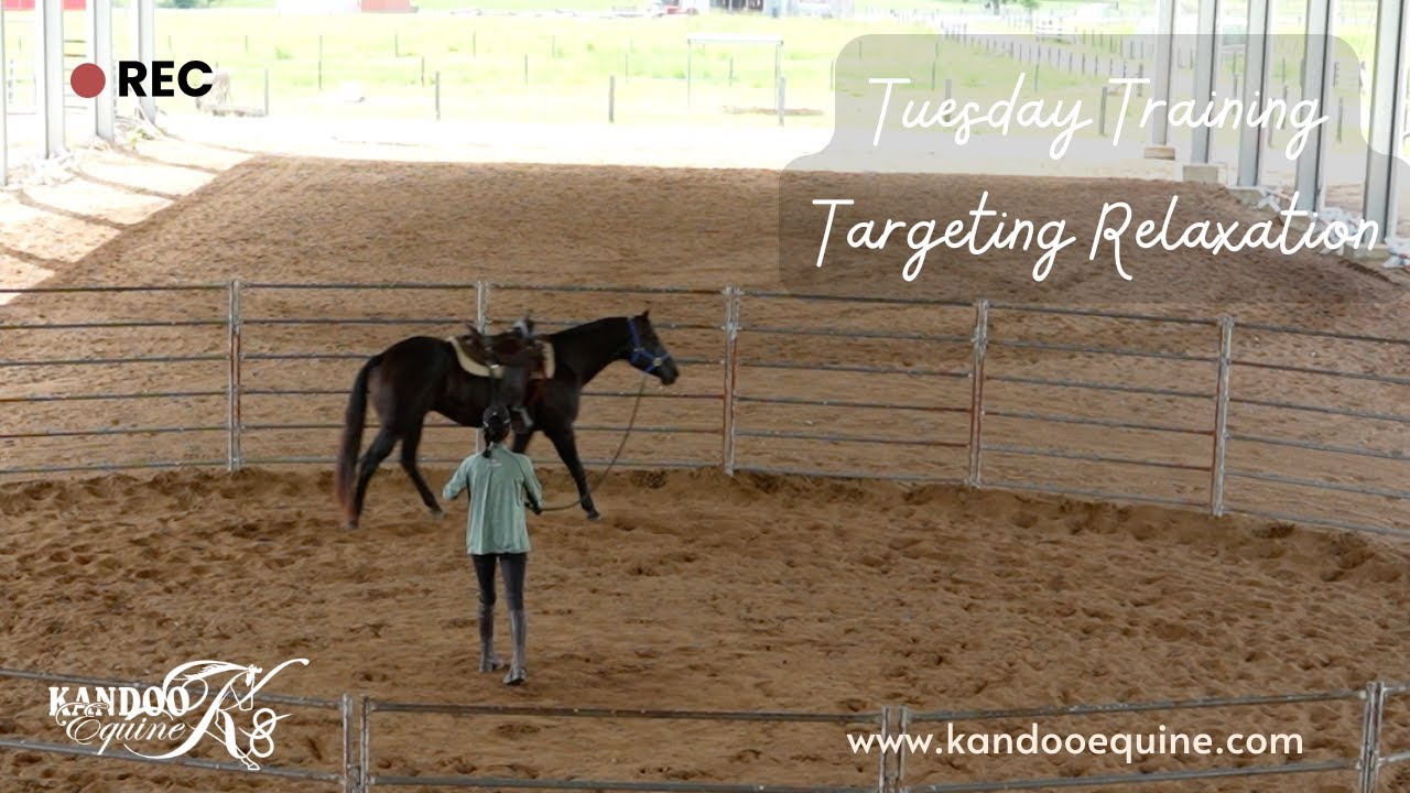 Tuesday Training: Targeting Relaxation