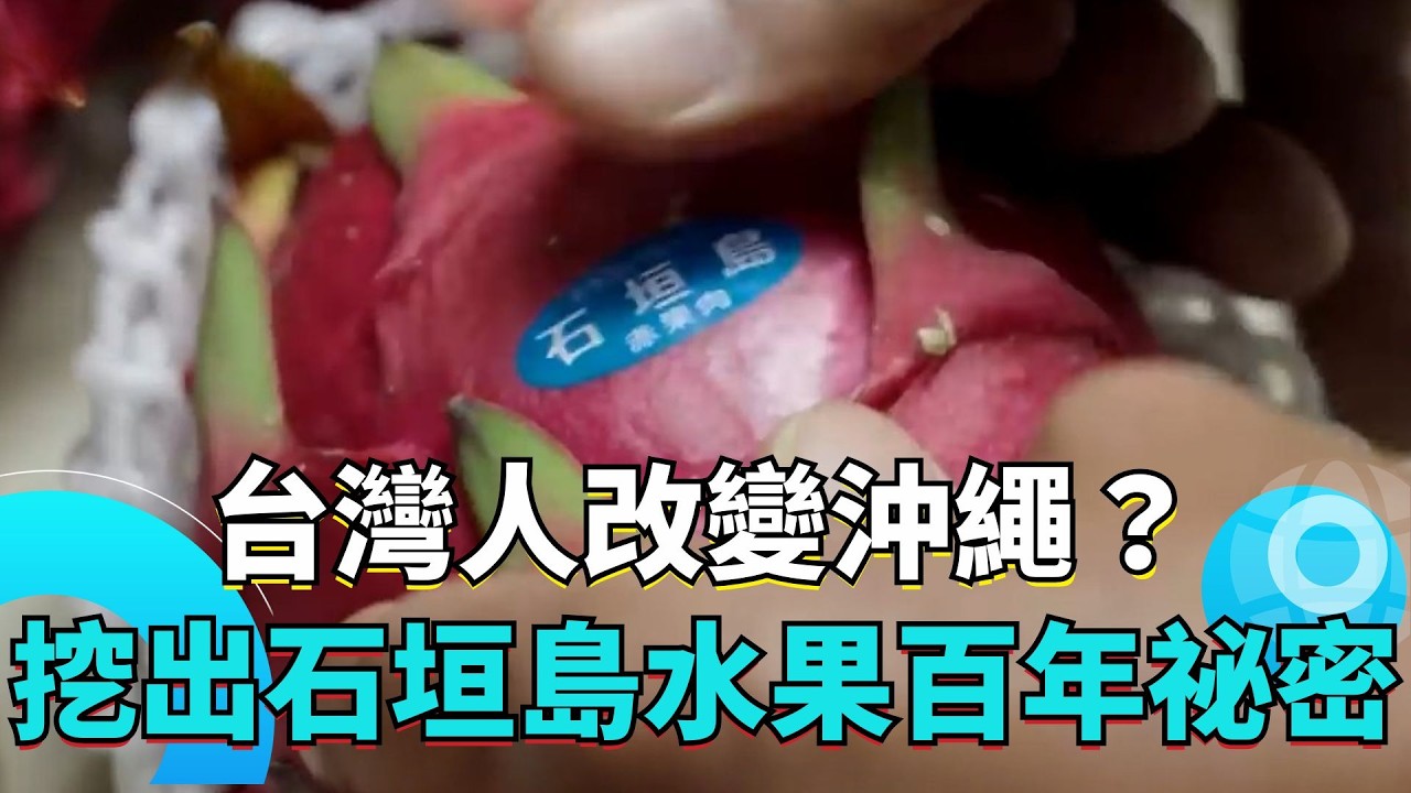 沖繩水果竟然來自台灣？石垣島鳳梨芒果真相曝光！｜94要賺錢