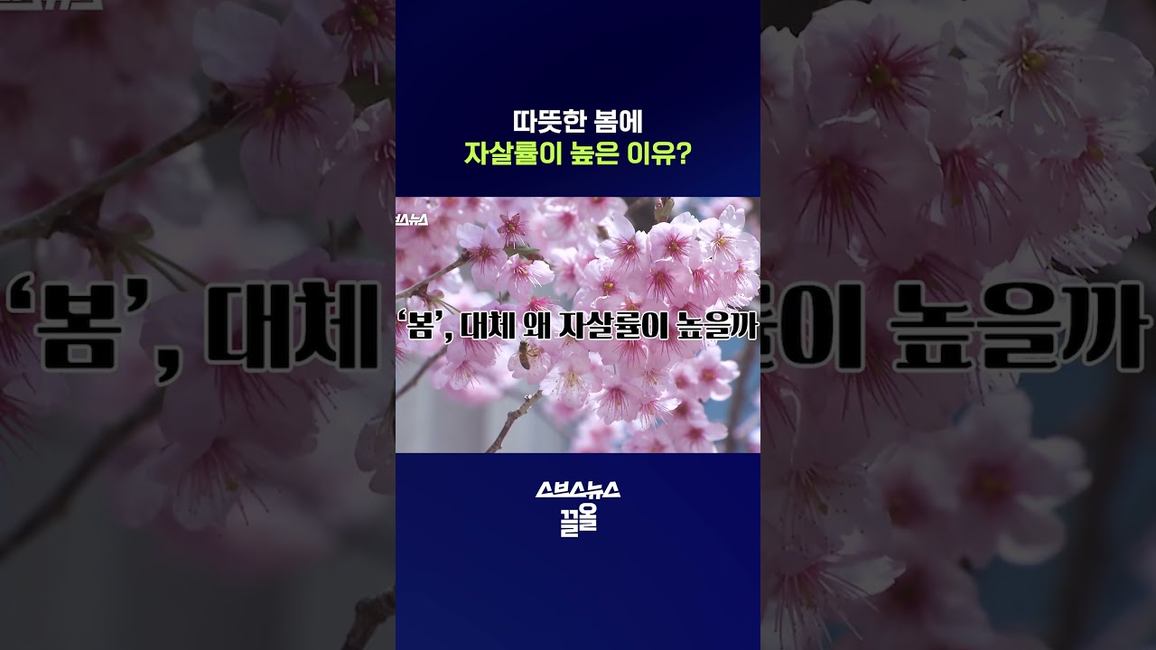 봄이 됐는데 왜 우울할까 #봄 #shorts #스브스뉴스