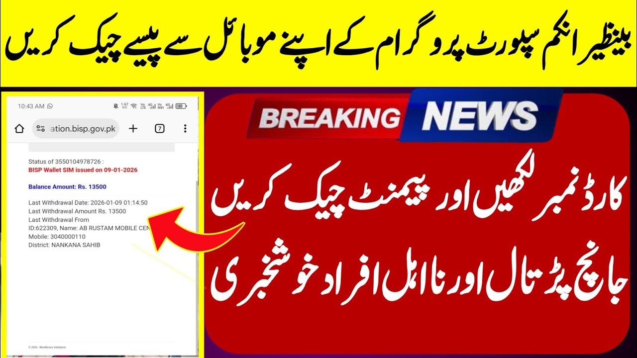 8171 Payment Check Online I How to Check BISP Payment Using 8171 Web PortalIBISP 8171 New Update2026