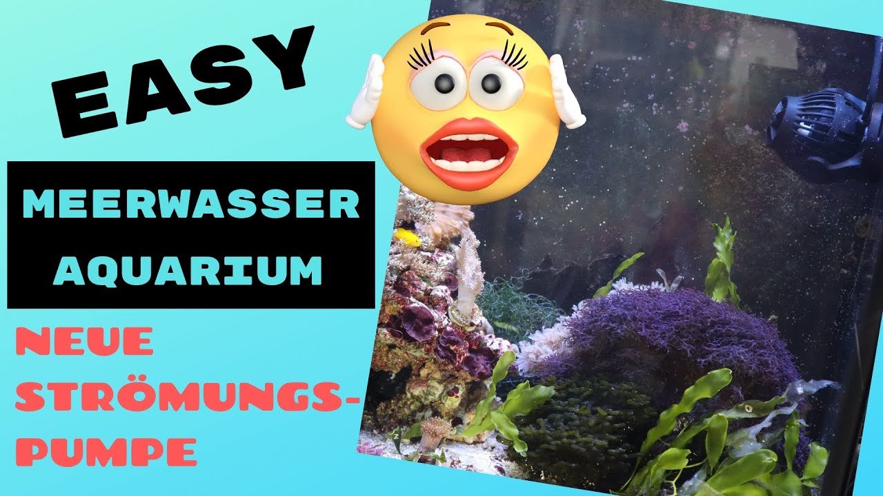 Bessere Strömung im Aquarium | Unboxing Jecod/Jebao SOW-8 Strömungspumpe