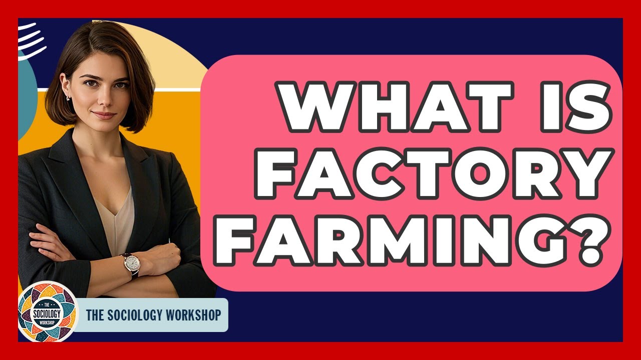 What Is Factory Farming? - The Sociology Workshop