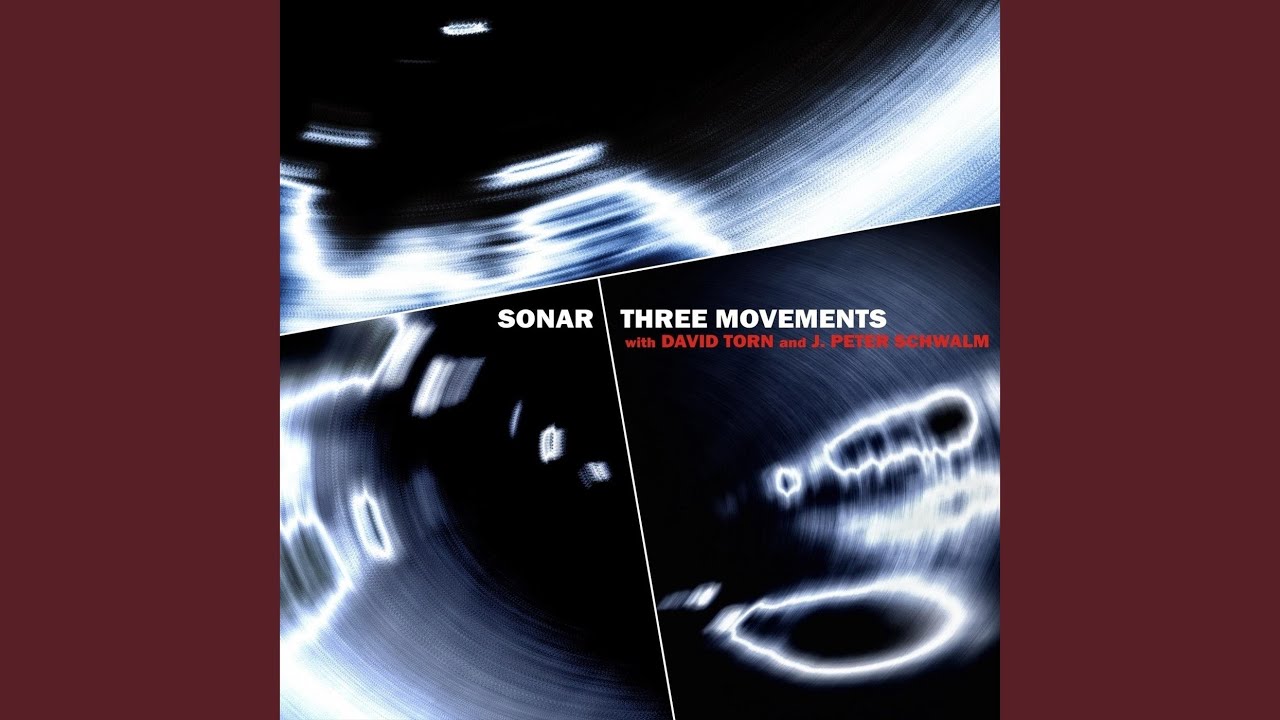 Third Movement (feat. David Torn & J. Peter Schwalm)