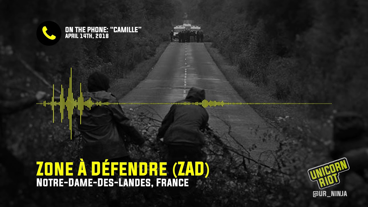 Zone &Agrave; D&eacute;fendre Resist Eviction Update #2 - Interview w/ a Zadiste