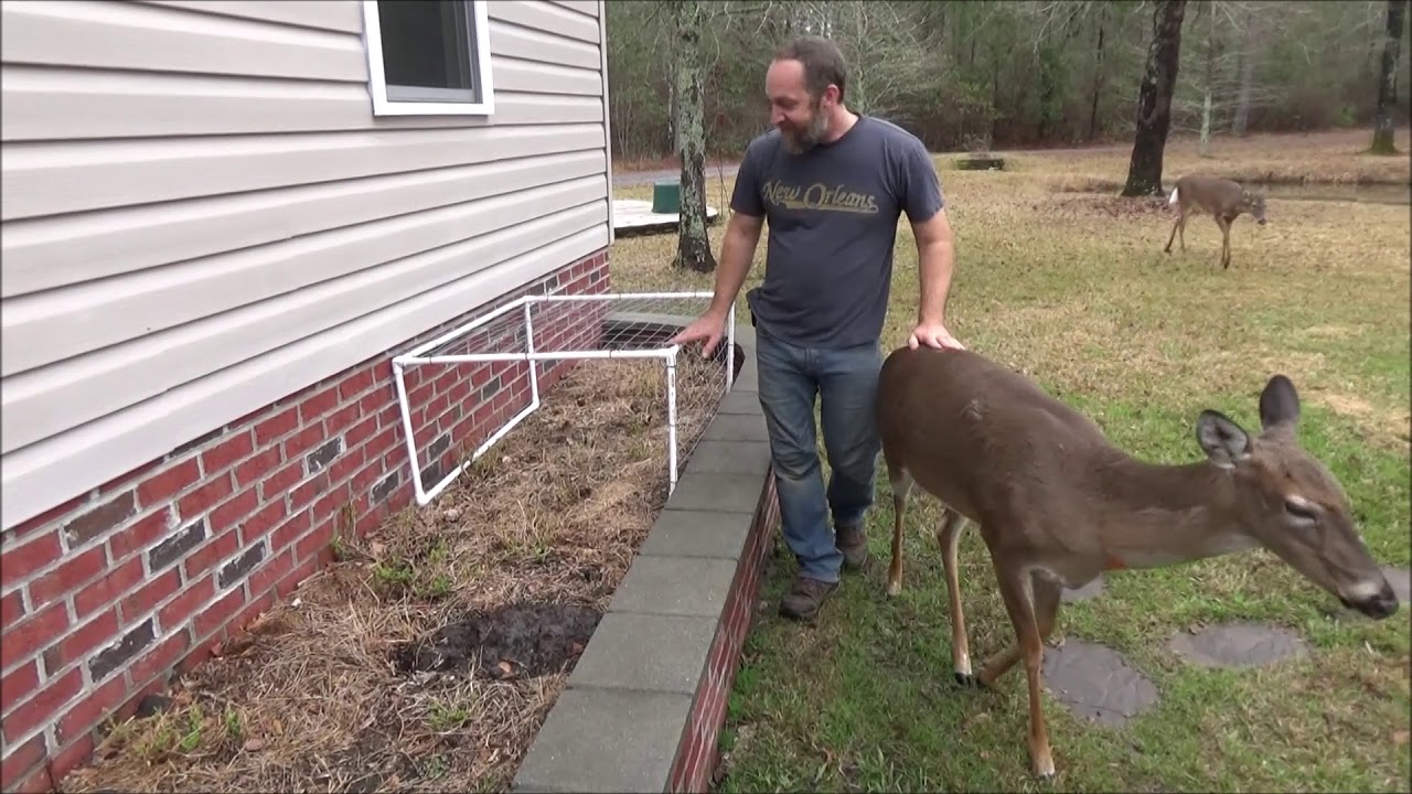deer proof flower bed