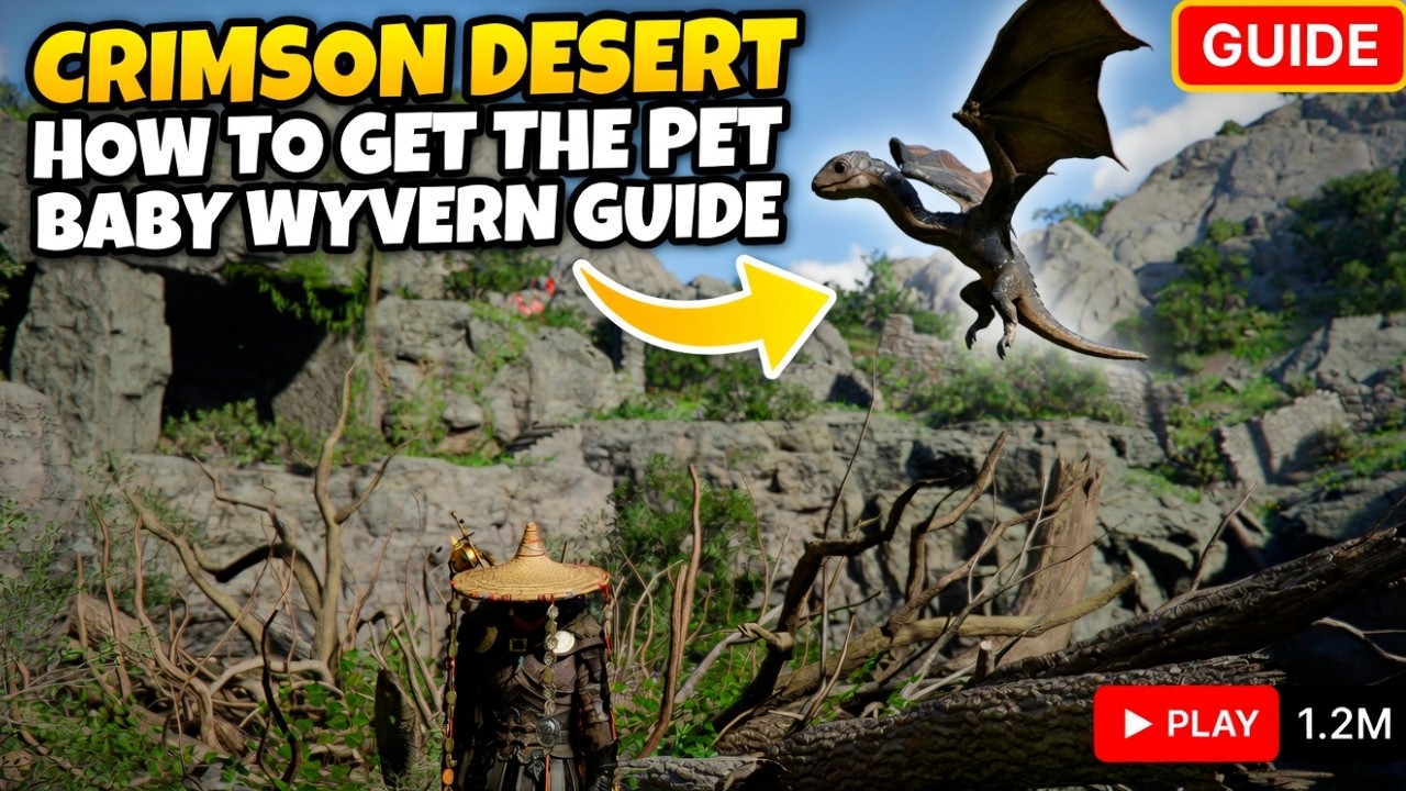 Crimson Desert, How To Get The Pet Baby Wyvern Guide