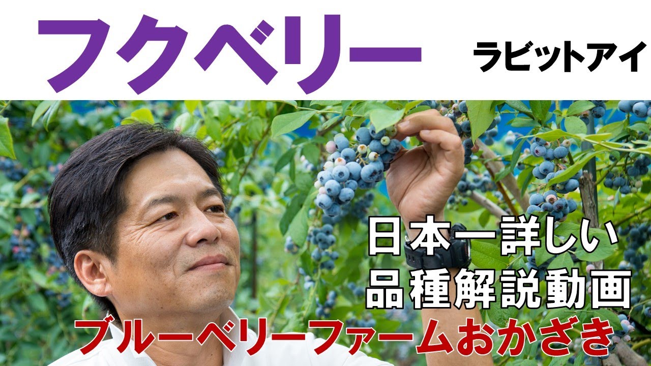 【フクベリー】品種解説動画