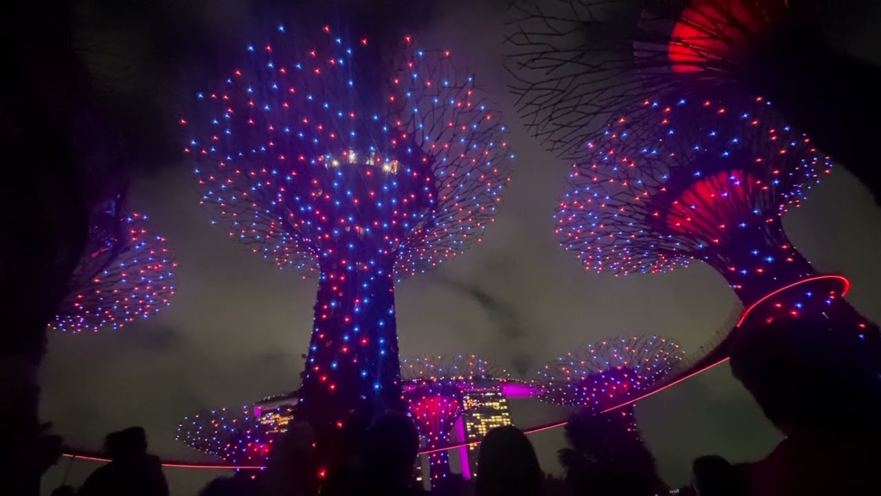 Gardens by the bay super tree light show