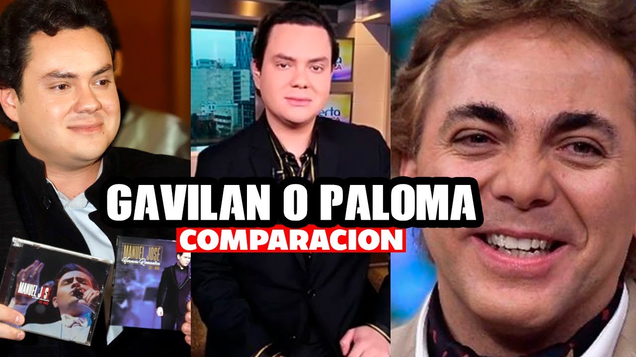 MANUEL JOSÉ vs CRISTIAN CASTRO | Gavilan o Paloma ( Comparación de voces y opinión )