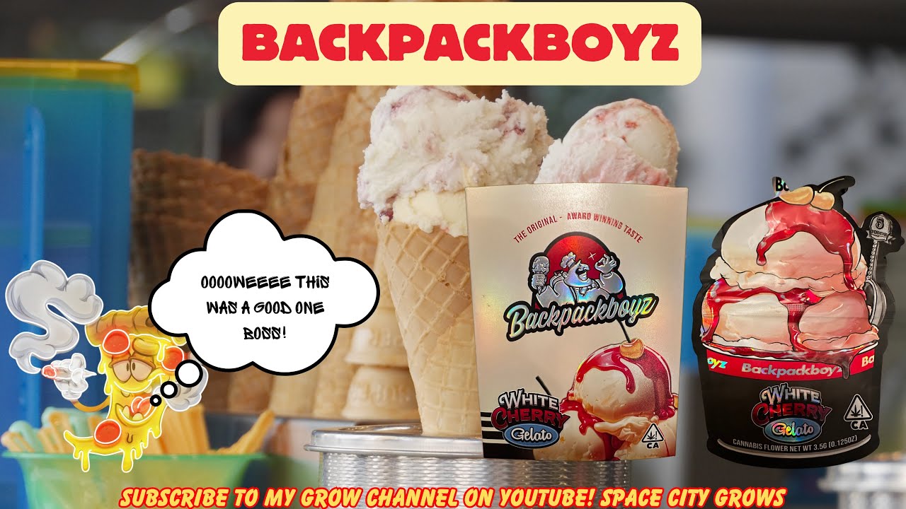 BACKPACKBOYZ STRAIN REVIEW: White Cherry Gelato (🍒🍧🔥) Solid Flavorful Smoke!