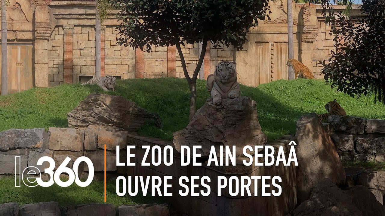 Casablanca: immersion au cœur du zoo de Ain Sebaâ enfin ouvert au public
