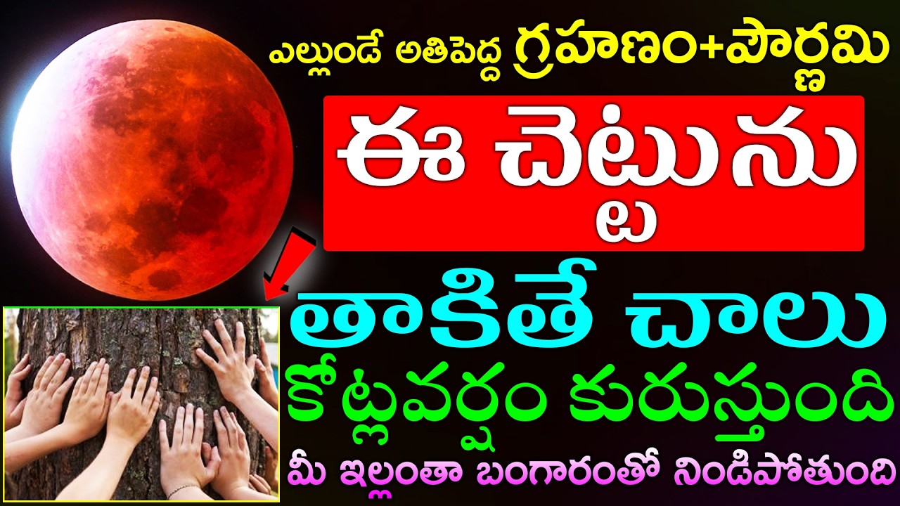 ఎల్లుండే అతిపెద్ద గ్రహణం+పౌర్ణమి ఈ చెట్టును తాకితే చాలు కోట్లవర్షం కురుస్తుంది బంగారంతో నిండిపోతుంది