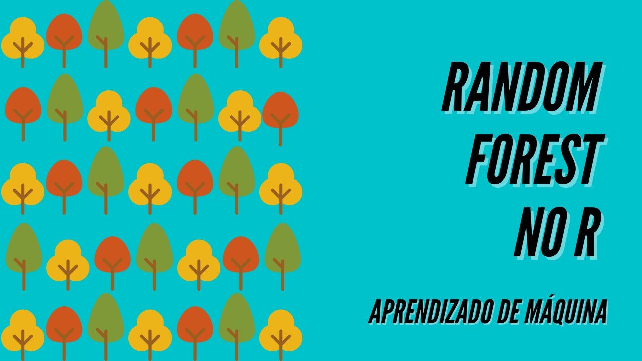 Random Forest no R