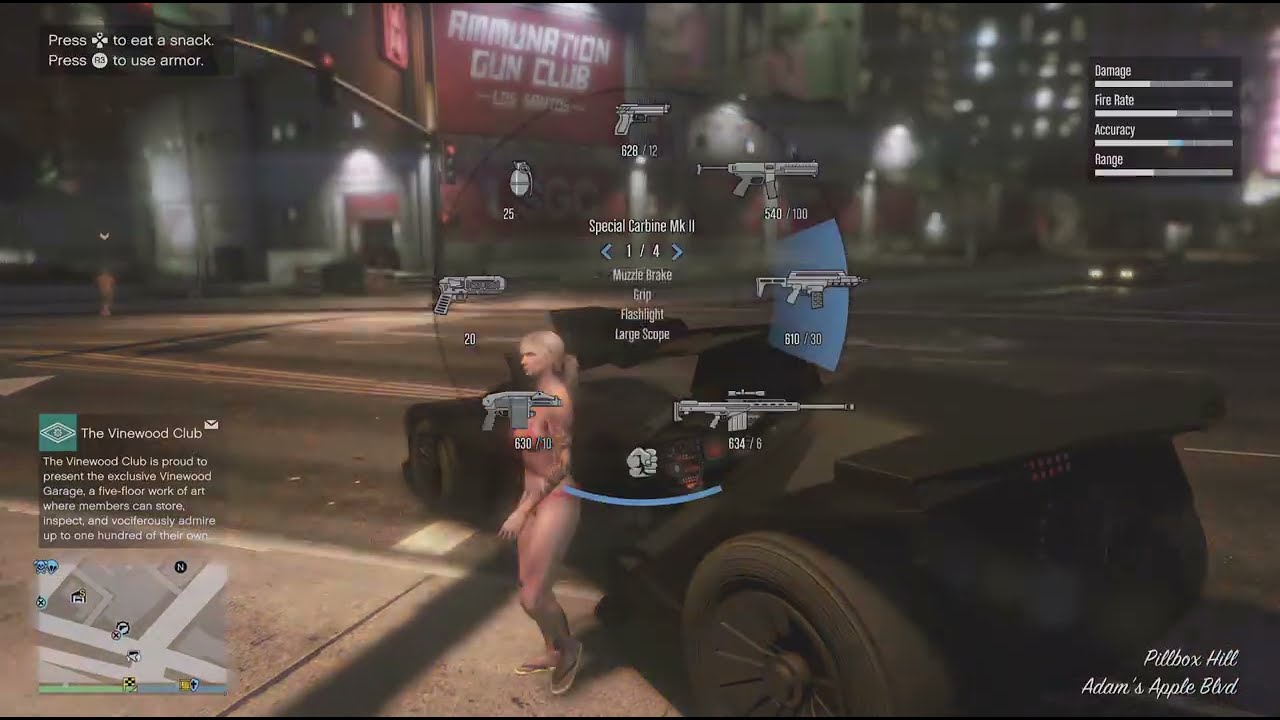 Grand Theft Auto V I wasted 