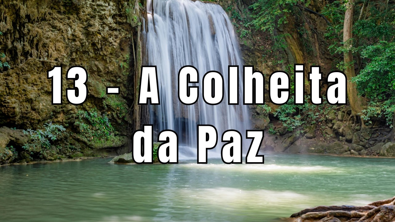 A Colheita da Paz | Música para cultivar serenidade e colher tranquilidade interior