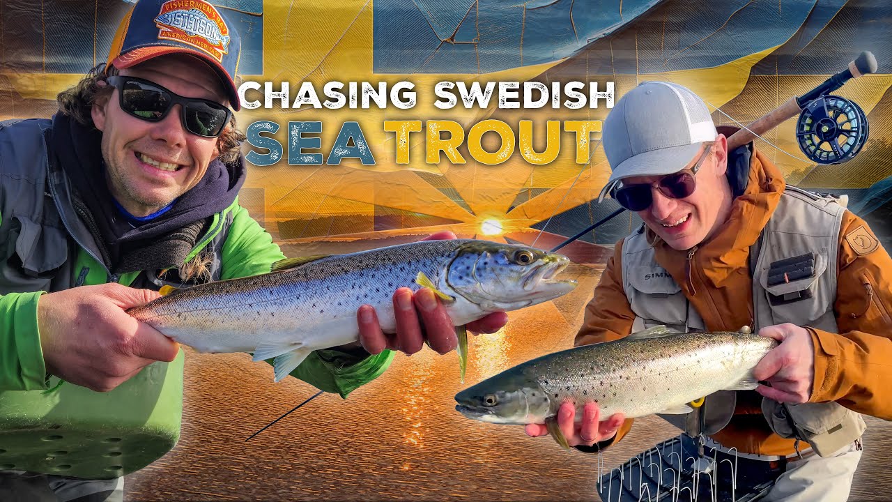 A Quest for the Legendary Swedish Sea Trout