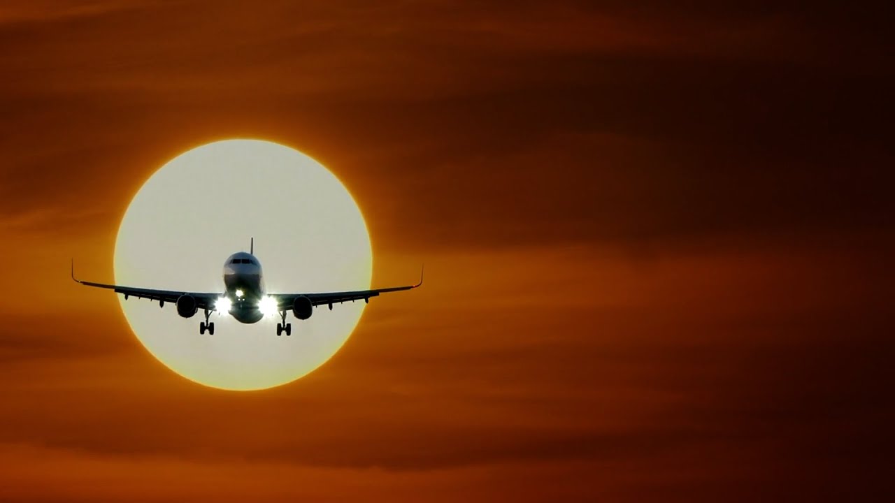 Mark Shepard FLY FLY FLY Life In Song No. 111 (OFFICIAL MUSIC VIDEO)