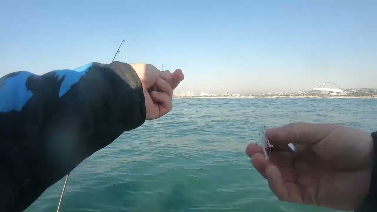 Snoek and Snapper Bite - Durban Backline