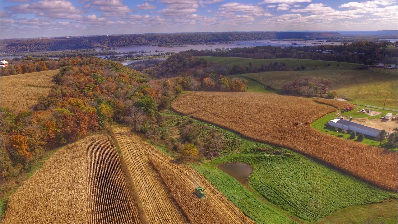 Harvesting Corn on the Bluffs in Northeast Iowa
