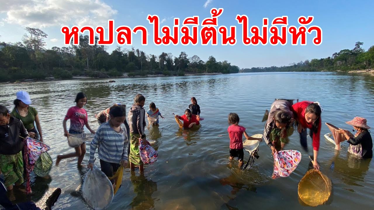 หาปลาไม่มีตี้นไม่มีหัว ปลาที่หายากที่สุดในลาว