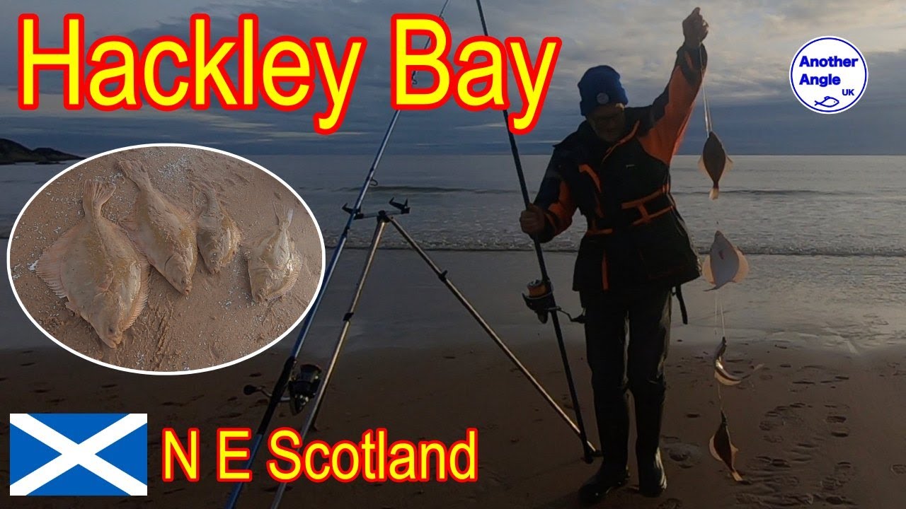 New Mark + New Rigs = BIG Success : Fishing for Big Flounders : Hackley Bay : North East Scotland.