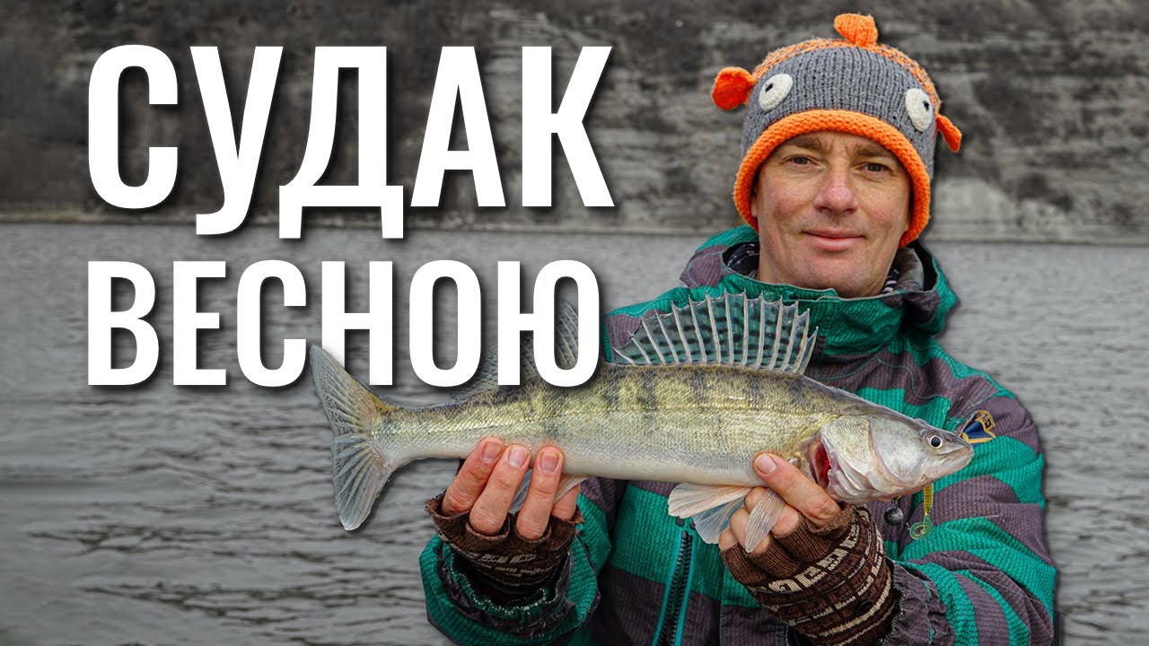 Дністер. Ловля весняного судака