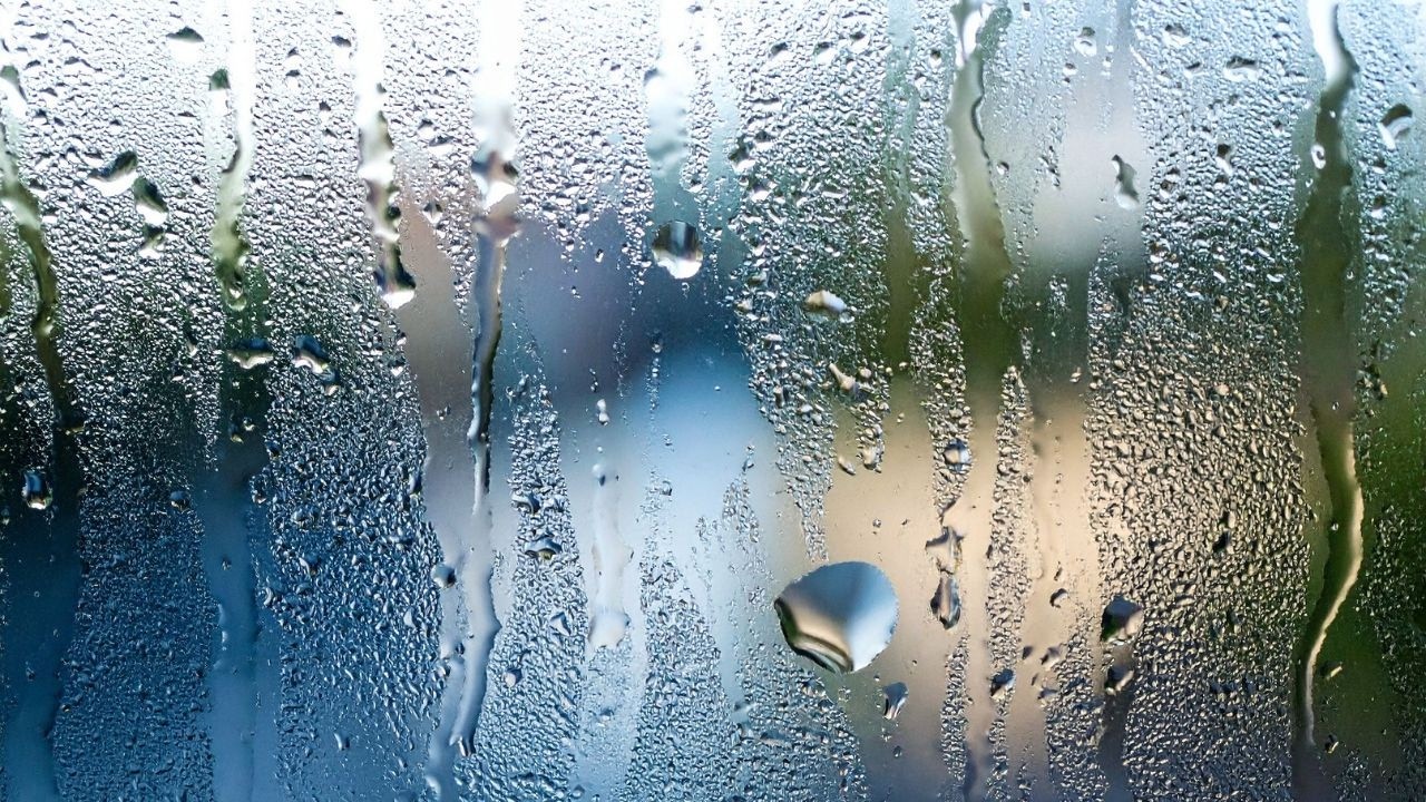Nature Sounds for sleeping - 7 hours of Rain - dark screen