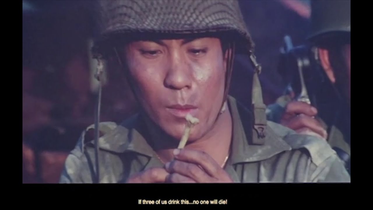 Vietnam War Films from the South Vietnamese (ARVN) Perspective