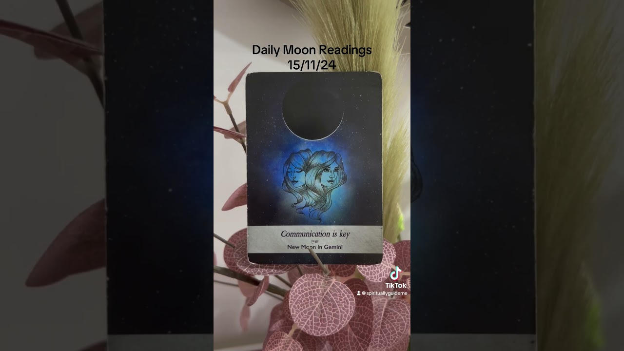 15th November 2024 Daily Moon Reading