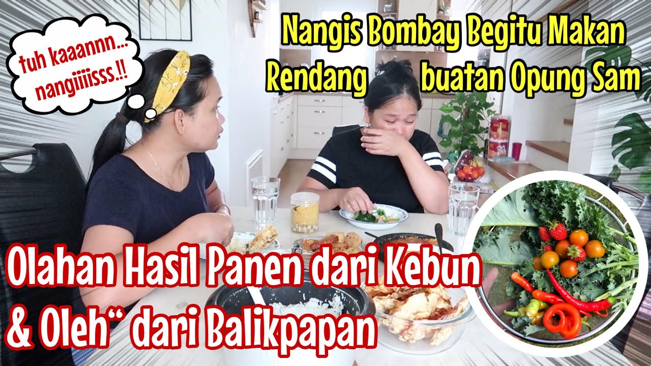 OLAHAN DARI KEBUN & OLEH-OLEH DARI BALIKPAPAN || RENDANG BIKIN NANGIS..