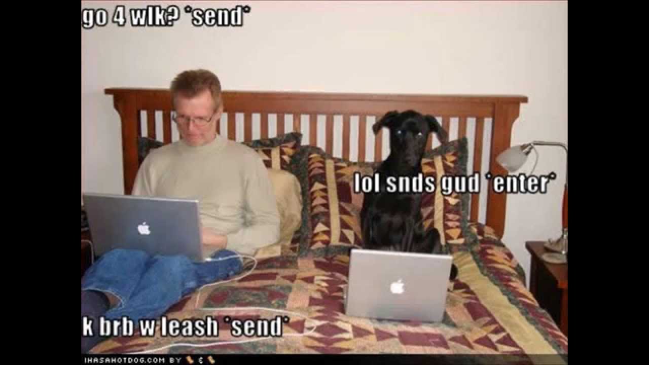 funny picture collage