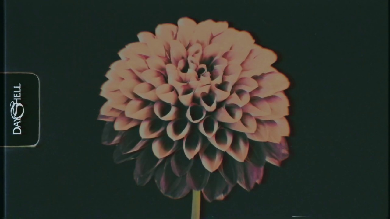 DAYSHELL - SPELLBOUND (Official Lyric/Music Video)