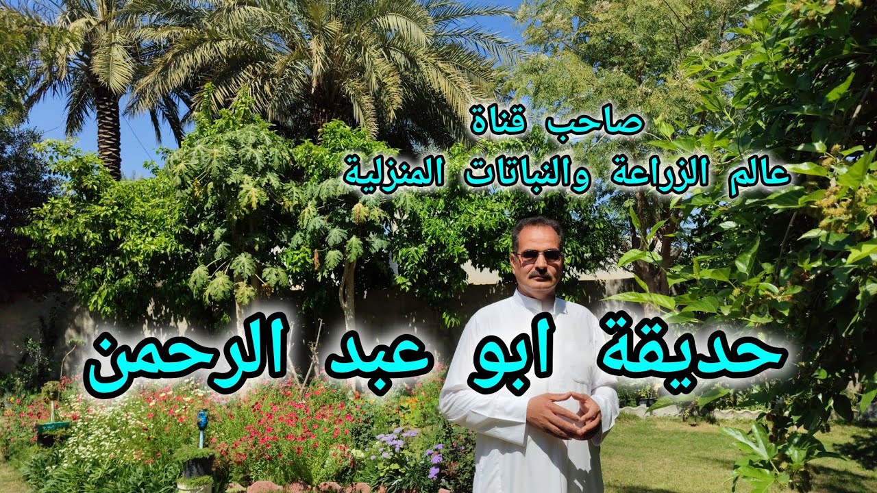 شاهدوا حديقة ابو عبد الرحمن صاحب قناة  عالم الزراعة والنباتات المنزلية العراق 🇮🇶 بابل