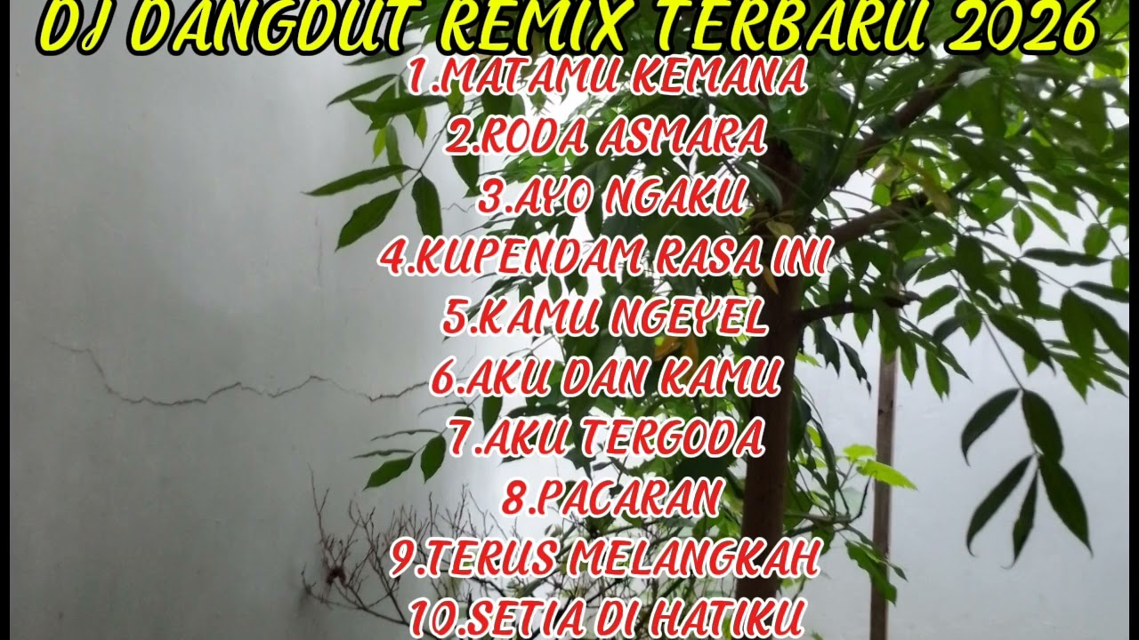 DJ DANGDUT REMIX TERBARU 2026 DJ MATAMU KEMANA #djdangdut #dangdut #dangdutremix #lagudangdut #musik