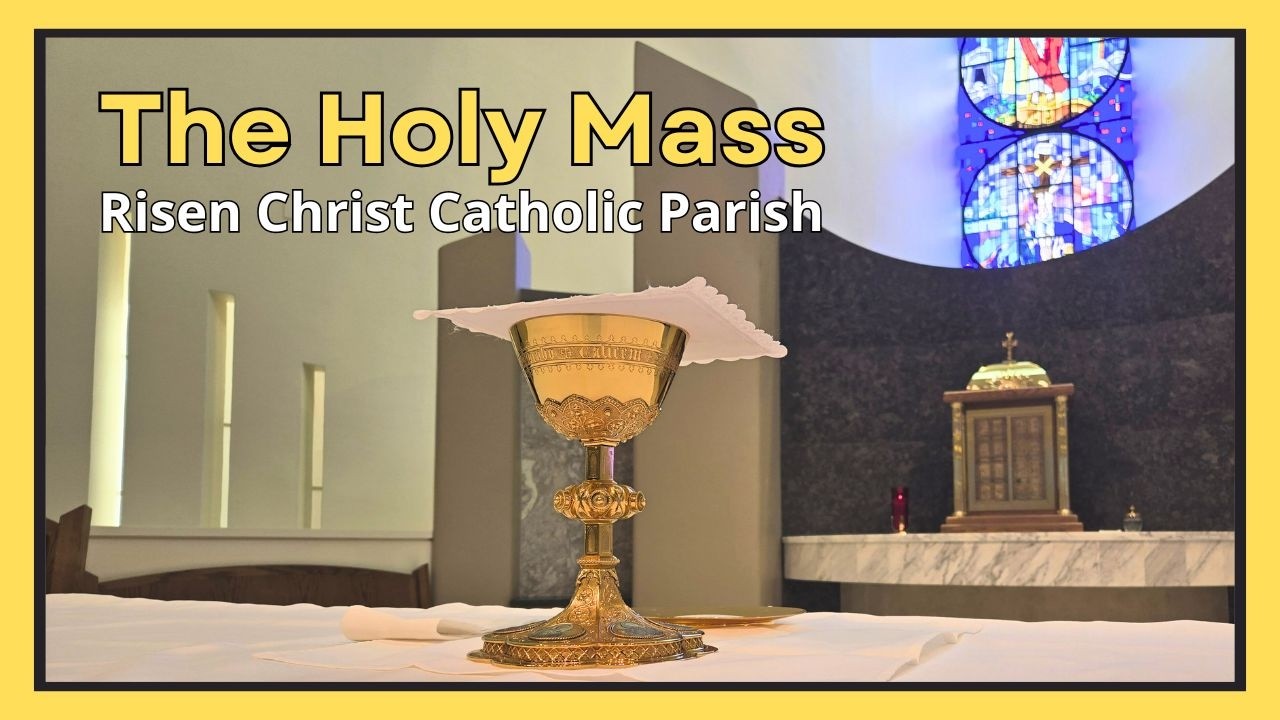 Sixth Sunday in Ordinary Time Catholic Mass