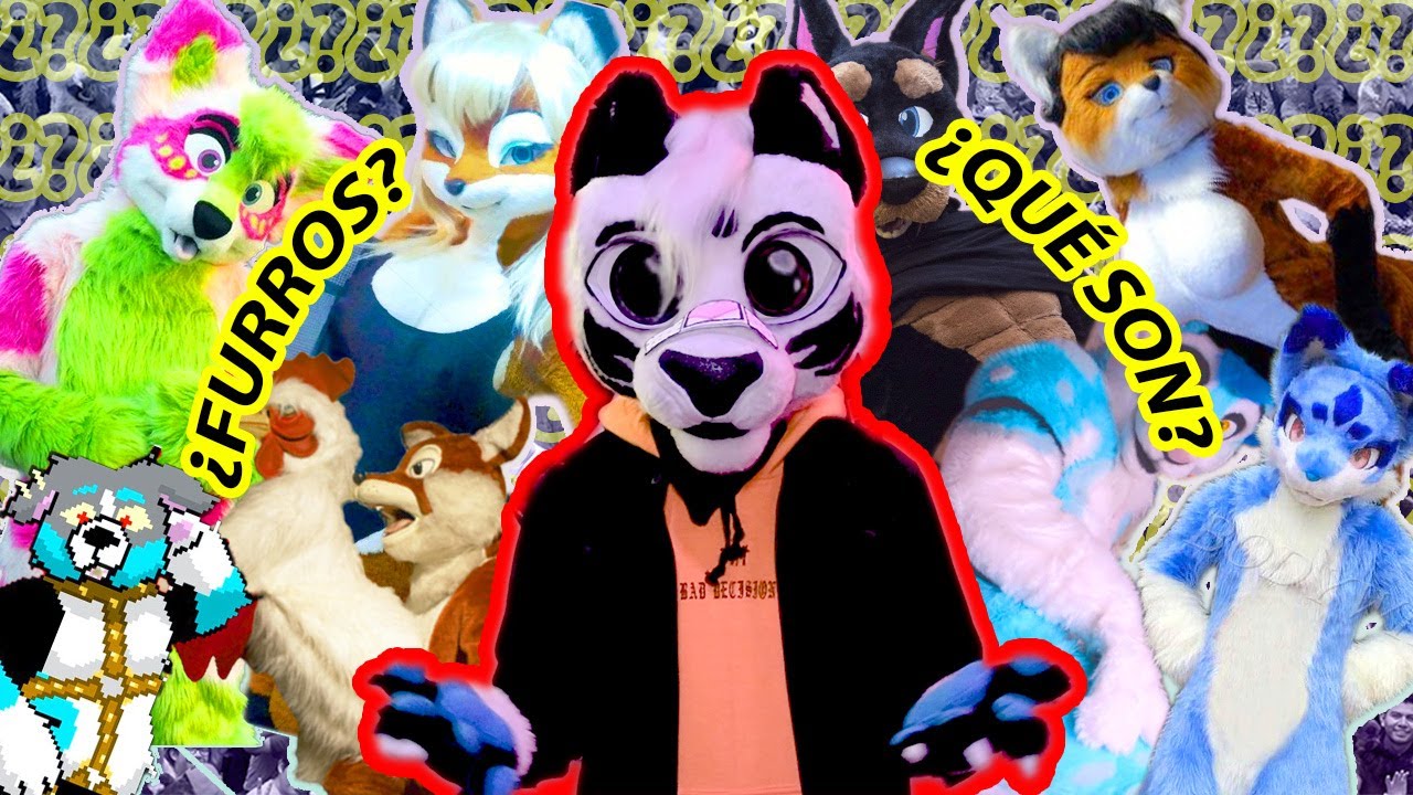 FURROS en menos de 2 MINUTOS! | &iquest;Qu&eacute; es un 