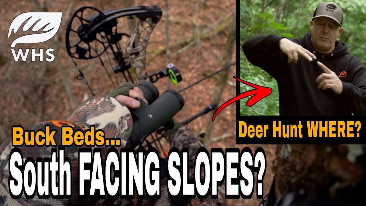 Deer Hunting's South Facing Slope Myth