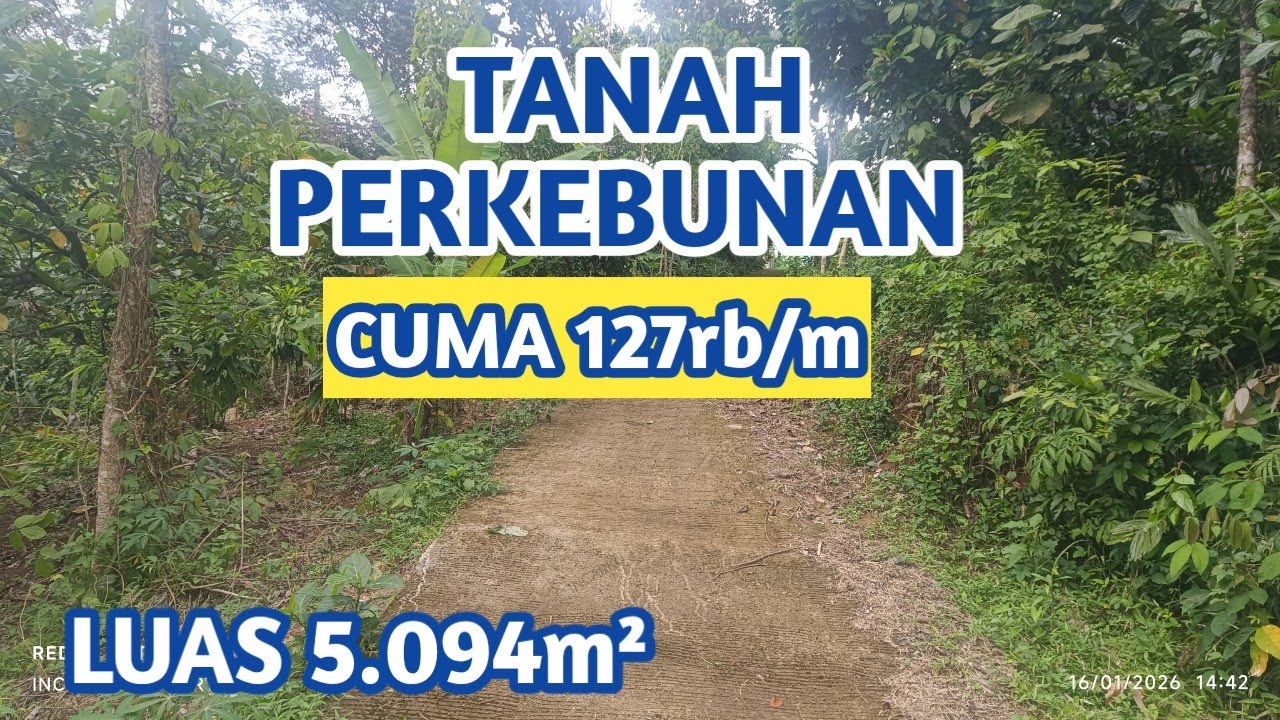 VIEW PEGUNUNGAN INDAH BANGET BOLO !! TANAH JOMBANG 