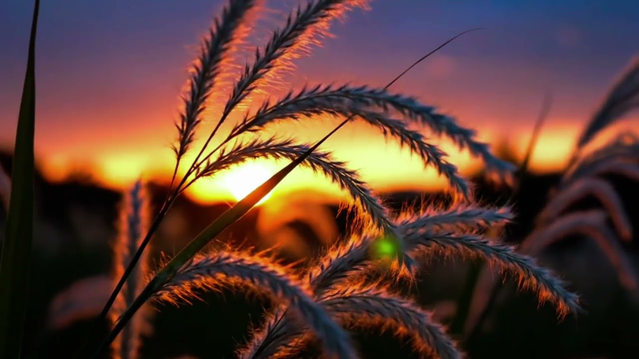 Dolce Vita 80s 🎹 Italian Instrumental Music for Relax & Calm
