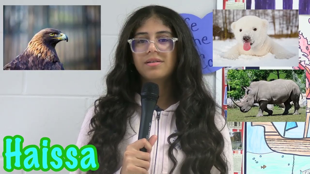 02 11 26  5th Period Daily News Show