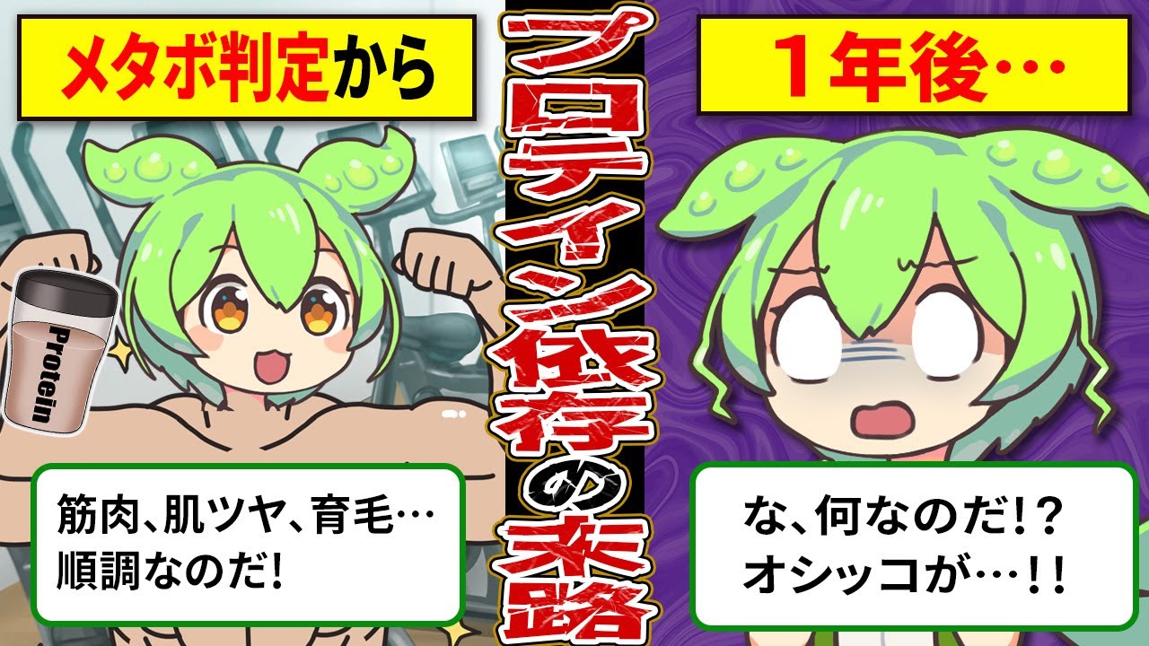 【ずんだもん】メタボ男性がプロテインを1年間飲み続けた末路【ゆっくり解説】