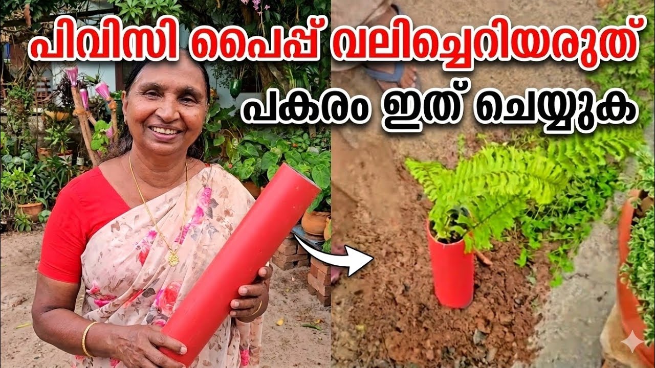 PVC പൈപ്പ് ആരും കളയല്ലേ, ഇങ്ങനെ ചെയ്യൂ.#gardening #flowergarden #familyvlog#plants #home #diygarden 