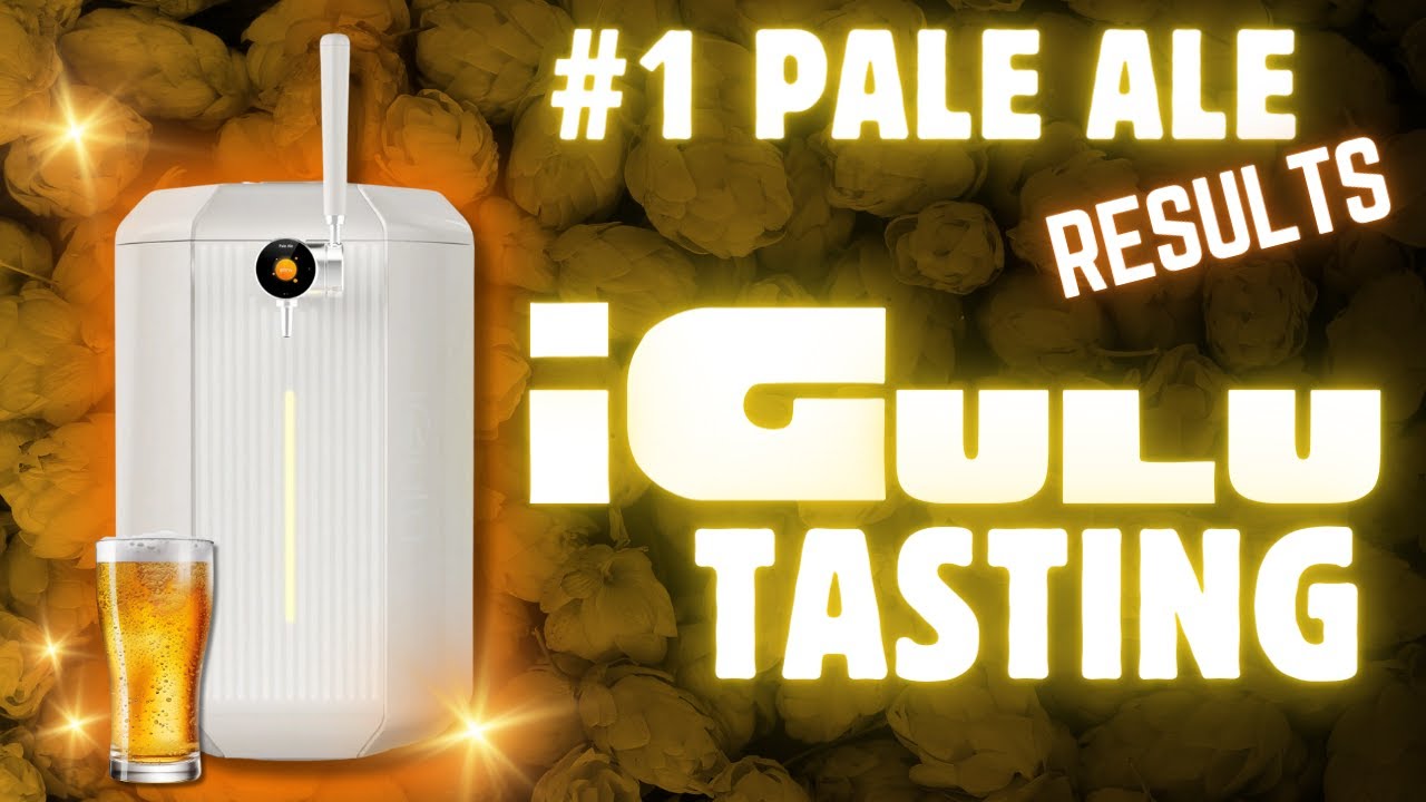 iGulu Review Part II: Pale Ale Results!