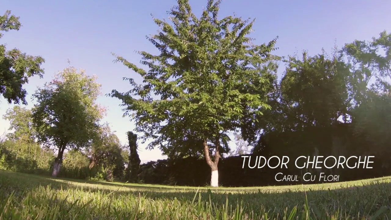 Tudor Gheorghe - Carul cu flori