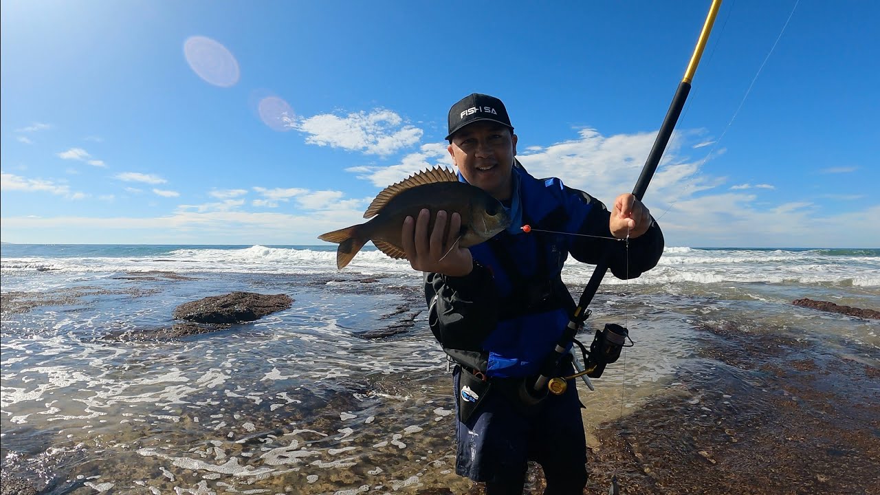 Bronze Bream Trafalgar Winter ACC Open