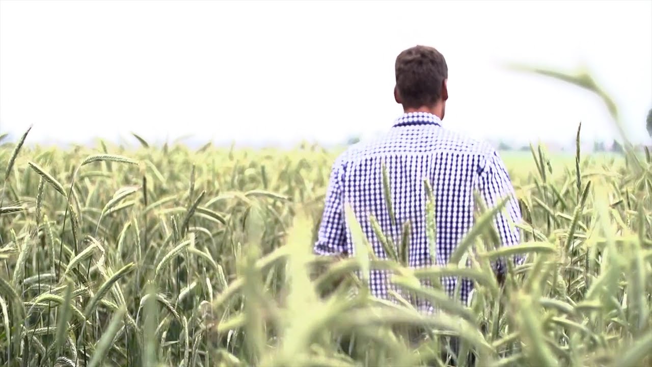 Ich kann mehr. Roggen auch.