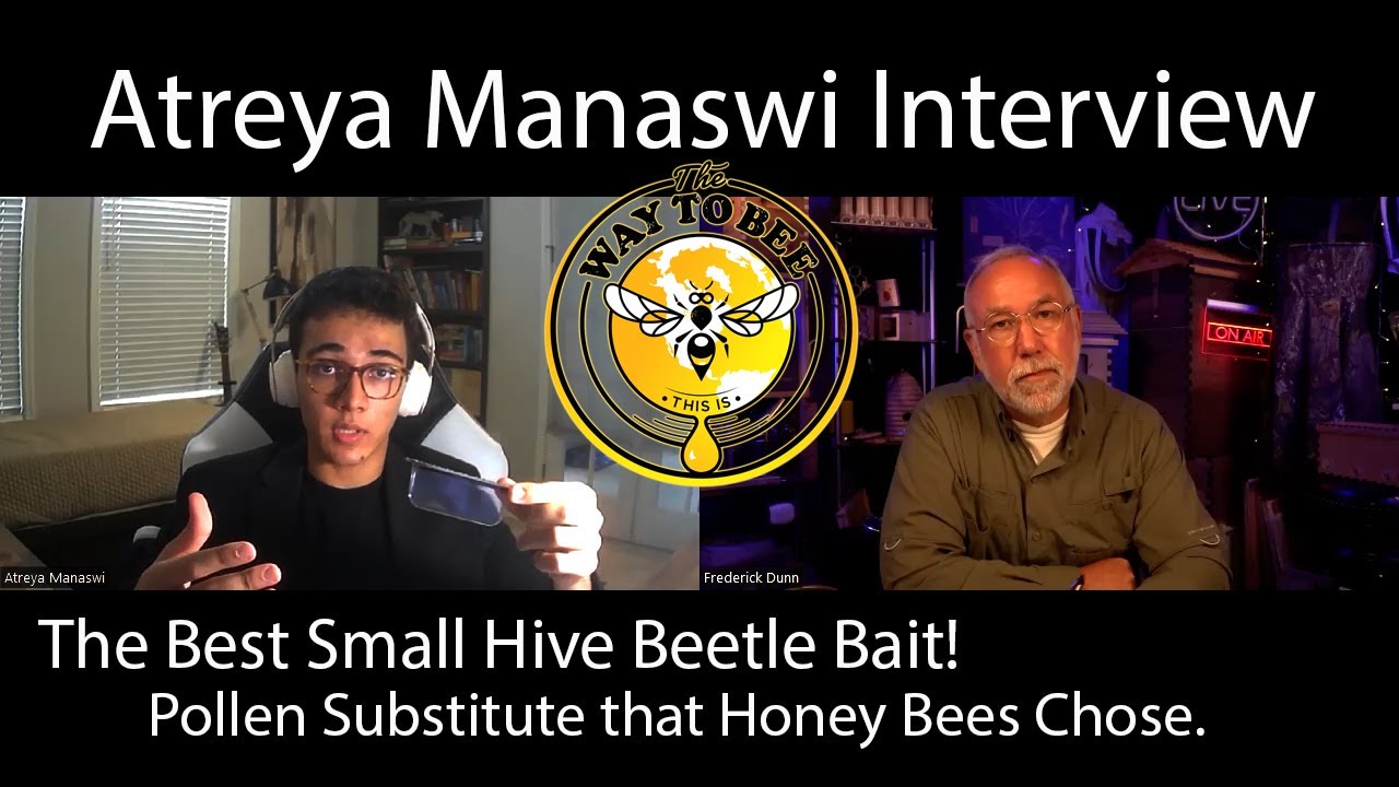 An Interview with Atreya Manaswi, an up and coming Honey Bee Researcher. Best Small Hive Beetle Bait