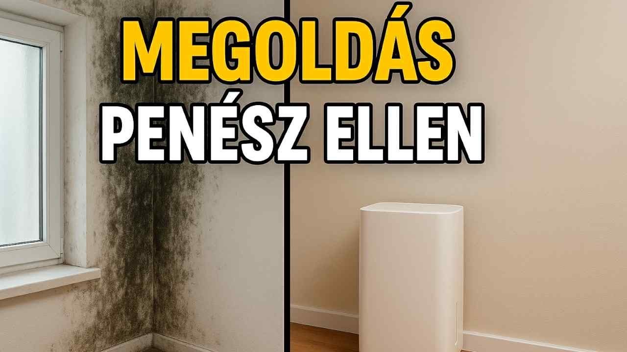 EZÉRT penészedik minden ház! - Mi megtaláltuk a megoldást!  #tech #technology #shop #house #cold