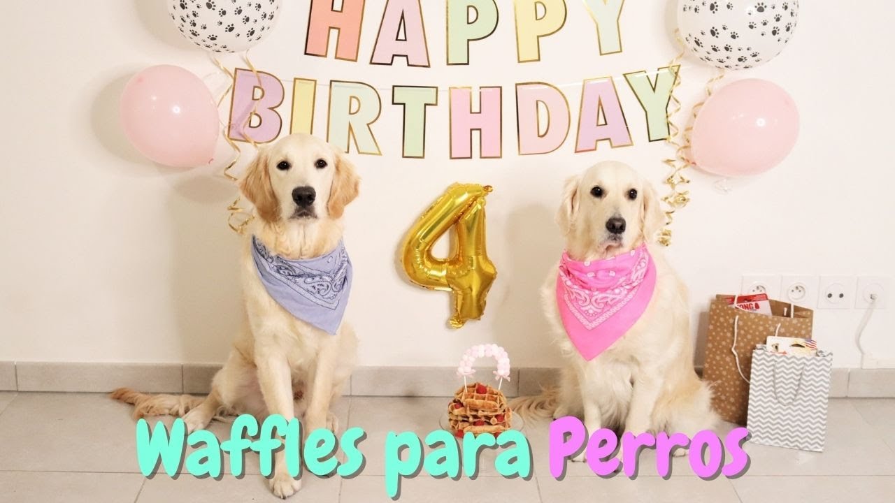 Waffles para PERROS
