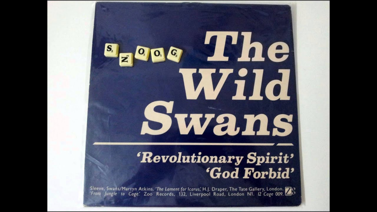 The Wild Swans -- Revolutionary Spirit
